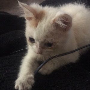 Meet your Posher, Donna